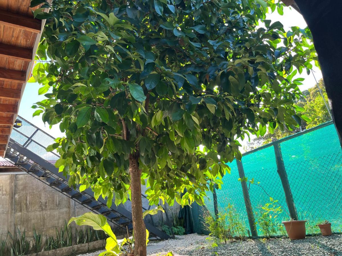 Apartamento Mango Y Cafe Lagunilla  Екстериор снимка